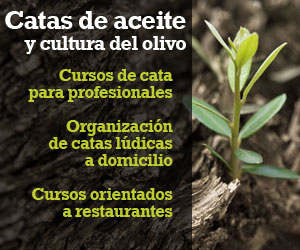 Cursos de cata de aceite de oliva