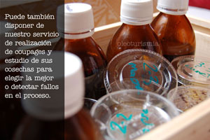 Coupages aceite de oliva virgen extra