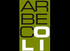 Aceite de Oliva Virgen Extra Arbecoli