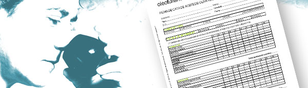 fichas-de-cata_servicios fichas-de-cata_servicios