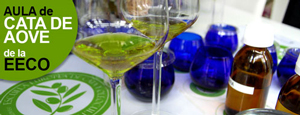 Aula de cata de aceite de oliva virgen extra de la Escuela Europea de Cata de Aceite