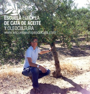 Mar Luna, directora de la Escuela Europea de cata y Oleocultura en la finca de experimentacion de olivar del