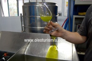 Recién elaborado el AOVE para su cataluego cataremos