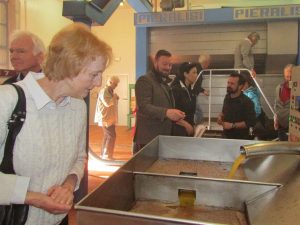 Ajuntament de Sant Jordi y el Oleoturismo