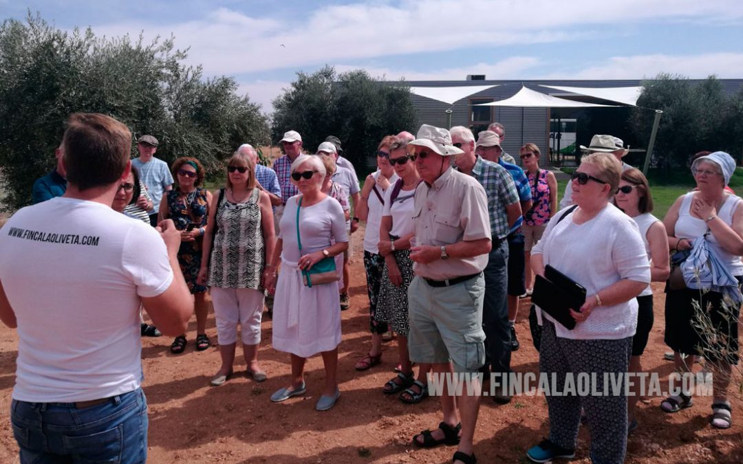 Oleoturismo en Ciudad Real: Irlandenses visitan Finca La Oliveta