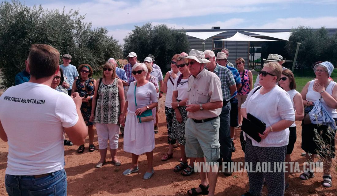 Oleoturismo en Ciudad Real: Irlandenses visitan Finca La Oliveta