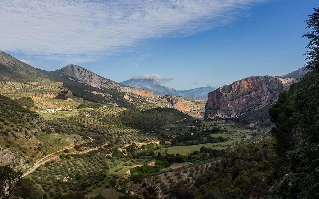 Oleoturismo en Jaén: Hacienda Santa Cristina – Otíñar