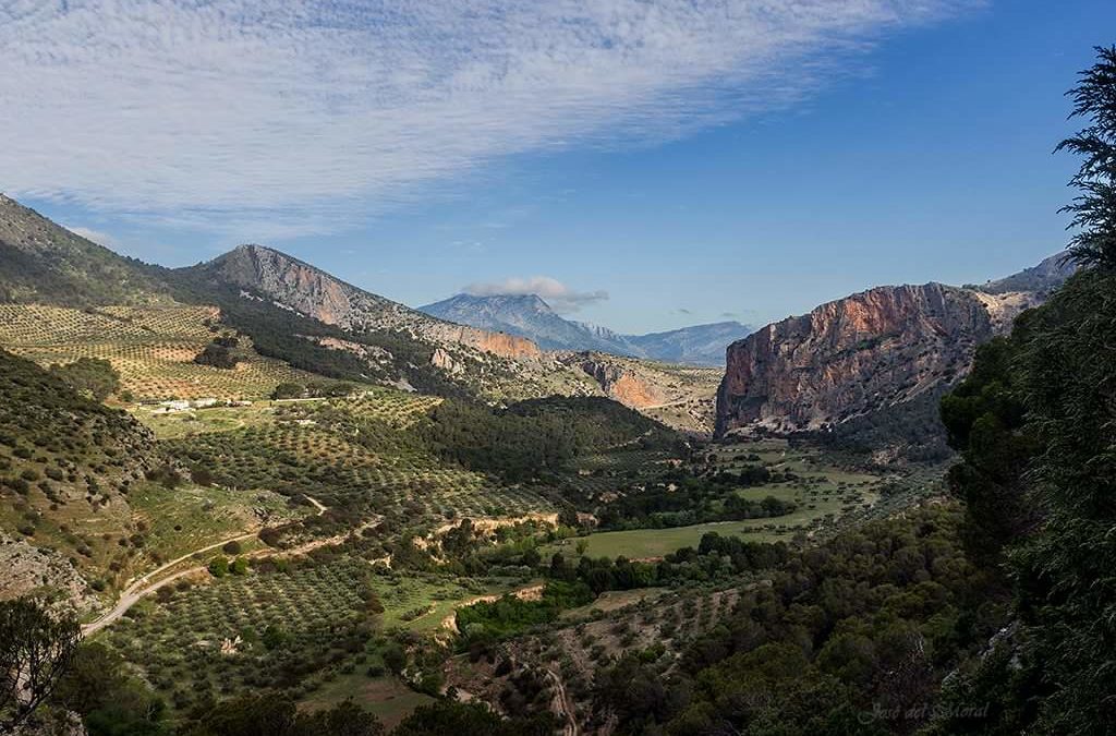 Oleoturismo en Jaén: Hacienda Santa Cristina – Otíñar