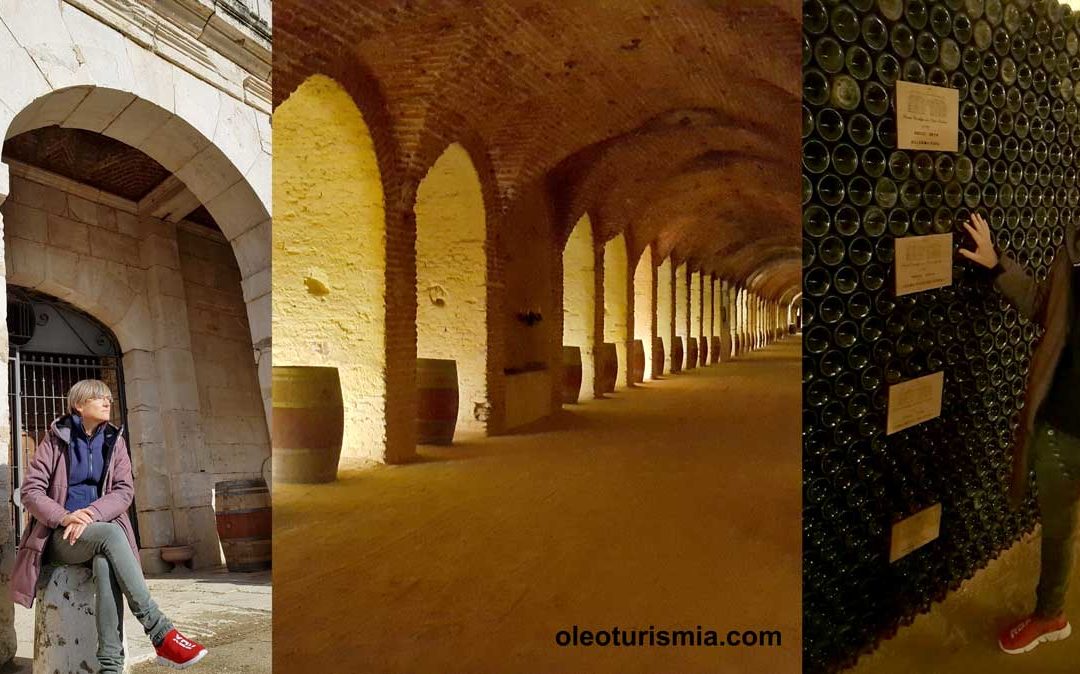 Enoturismo y Oleoturismo gracias a Carlos III:  Bodega Real Cortijo de Aranjuez