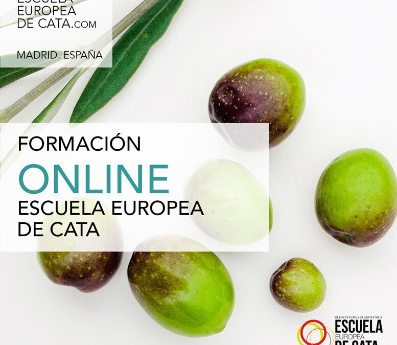 CURSOS Y TALLERES EN DIRECTO ONLINE CON MAR LUNA: PROPUESTAS