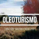 Oleoturismo en Madrid: Chinchón, Anís, Plaza y Mesón (con almazara dentro)