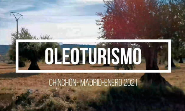 Oleoturismo en Madrid: Chinchón, Anís, Plaza y Mesón (con almazara dentro)