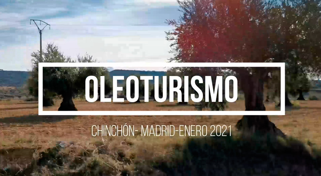 Oleoturismo en Madrid: Chinchón, Anís, Plaza y Mesón (con almazara dentro)