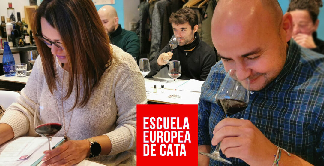 Curso de Cata de VINOS TINTOS