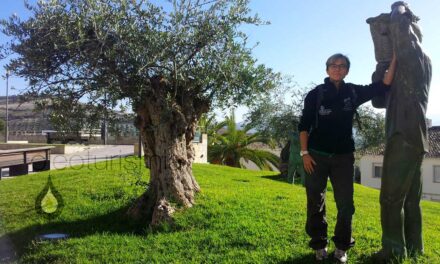Oleoturismo en Córdoba: Baena, ciudad del olivar y el aceite