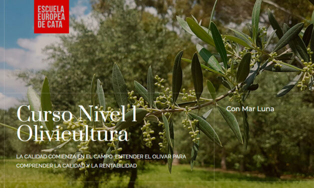 Curso Nivel 1 Olivicultura. LA CALIDAD COMIENZA EN EL CAMPO