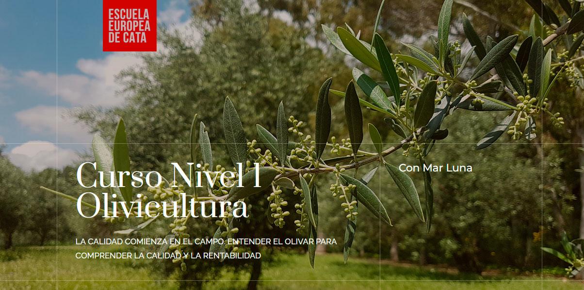 Curso Nivel 1 Olivicultura. LA CALIDAD COMIENZA EN EL CAMPO