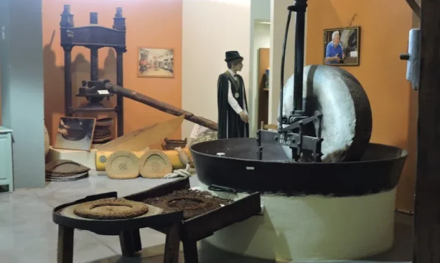 Musée de l’Olivier – Espace Vignolis, Nyons (Francia)