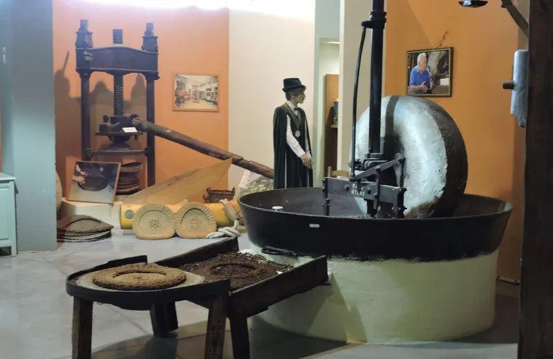 Musée de l’Olivier – Espace Vignolis, Nyons (Francia)