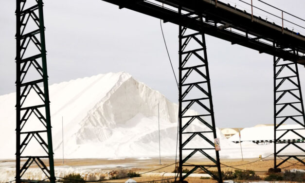 Gastroturismo en Alicante: Salinas de Torrevieja